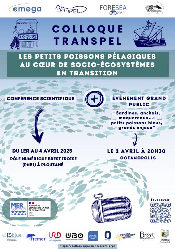 Affiche_colloque_TRANSPEL_2025_1.jpg